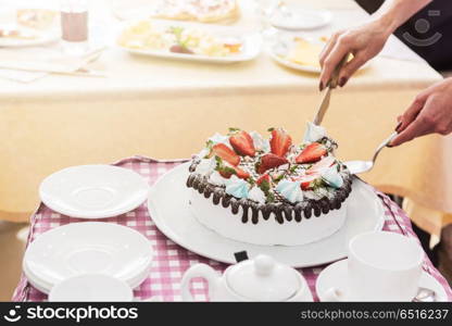 Tasty strawberry cream cake. Tasty strawberry cream cake on checkered table, with tea set