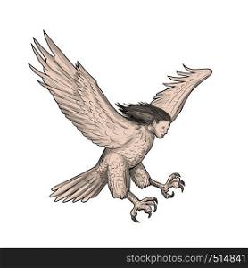 Tattoo style illustration of a harpy, in Greek and Roman, mythology, a female bird with a woman&rsquo;s face swooping looking down viewed from the side set on isolated white background. . Harpy Swooping Tattoo