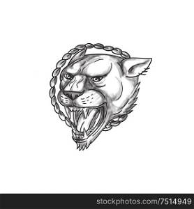 Tattoo style illustration of a lioness growling with rope in the background set on isolated white background. . Lioness Growling Rope Circle Tattoo