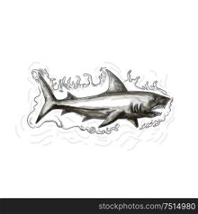 Tattoo style illustration of a shark swimming in water viewed from the side set on isolated white background.. Shark Swimming Water Tattoo