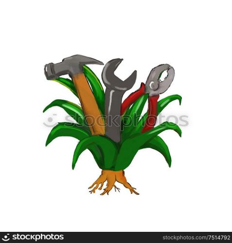 Tattoo style illustration of an agave plant with spanner, hammer and pliers set on isolated white background done watercolor style. . Agave Plant Spanner Hammer Pliers Tattoo