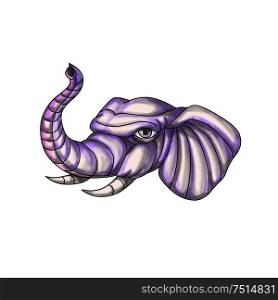 Tattoo style illustration of an elephant head with trunk raised up set on isolated white background. . Elephant Head Trunk Tattoo