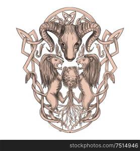 Tattoo style illustration of stylized bighorn sheep head with two lion supporters climbing on tree with Celtic knot, called Icovellavna, plait work or knotwork woven into unbroken cord design set on isolated white background. . Bighorn Sheep Lion Tree Coat of Arms Celtic Knotwork Tattoo