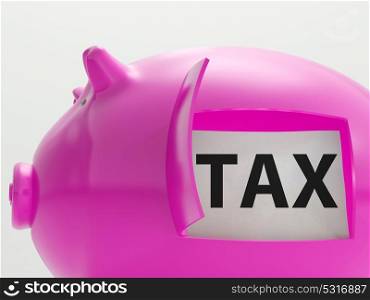 Tax In Piggy Showing Taxation Savings Taxpayer