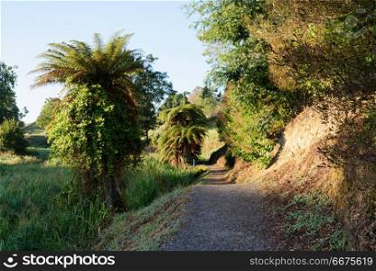 Te Waihou walkway near Putaruru, New Zealand. Walkway through rural landscape in South Waikato, New Zealand