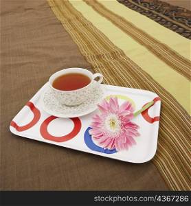 Tea cup and a tray on the bed