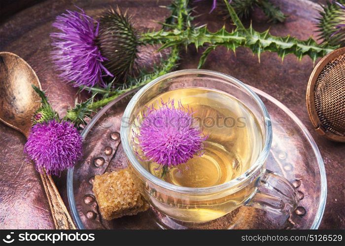 tea from a medicinal inflorescence thistle