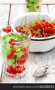 Tea with berries and leaves of currant. Summer tea with berries of red currant in glass