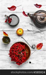 Tea with viburnum. Stylish earthenware teapot with tea from medicinal autumn berries tea with viburnum