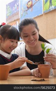 Teacher and schoolgirl planting plants into flowerpots
