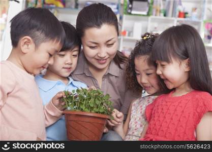 Teacher Showing a Plant to a Group of Students