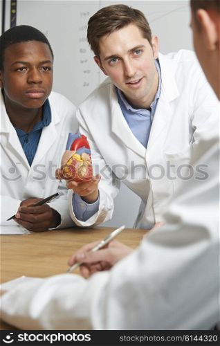 Teacher With Model Heart In Biology Lesson