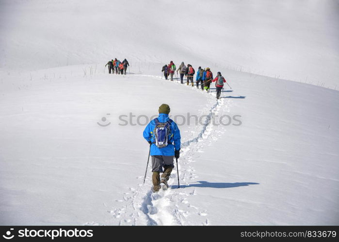 Team of alpinists crossing a glacier. Command of people in snow. One man going behind. Tourism concept.