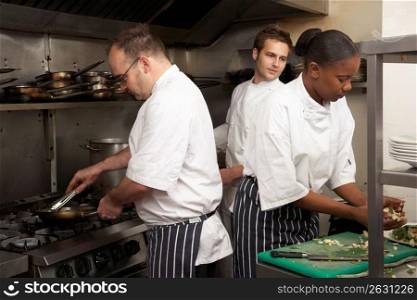 Team Of Chefs Preparing Food In Restaurant Kitchen