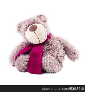 Tebby bear - plush toy, isolated on white