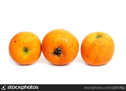 Tecojote winter fruit called Crataegus pubescens stipulacea