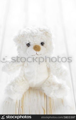 Teddy bear