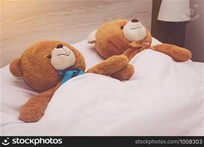 Teddy Bear lying in the bed