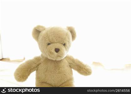 Teddy bear sat infront of a window