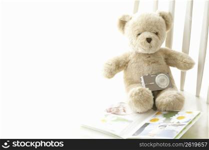 Teddy bear sat on a photo album holing a camera