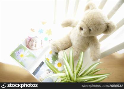 Teddy bear sat on a photo album next to a plant