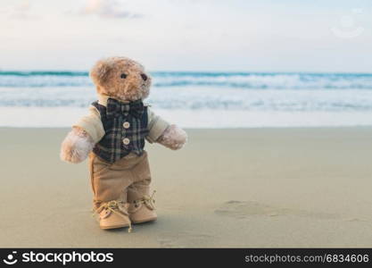 Teddy bear standing on the beach