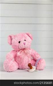 teddy bear with dummy
