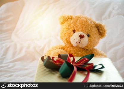 Teddy bear with gift box on white background.