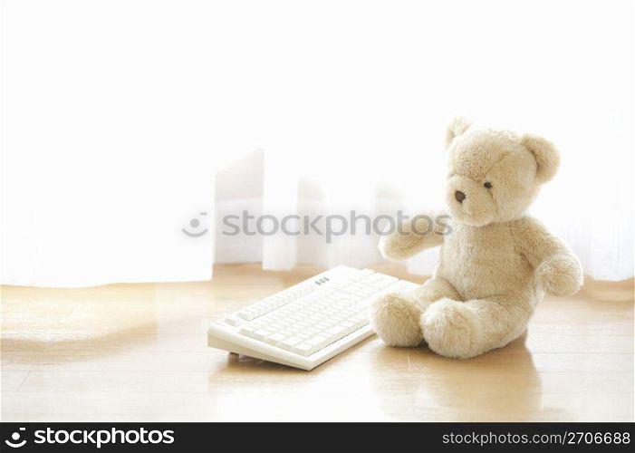 Teddy sat infront of a keyboard