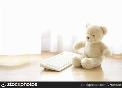 Teddy sat infront of a keyboard