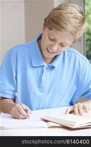 Teenage Boy Doing Homework At Table