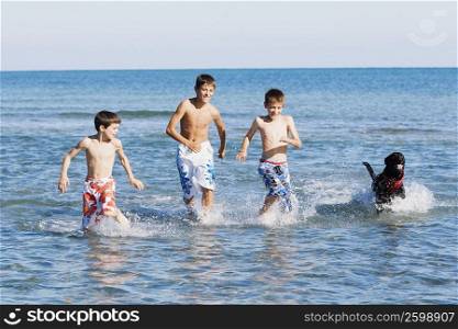 Teenage boy running with his two brothers and a dog in water