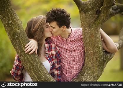 Teenage couple kissing in tree in park
