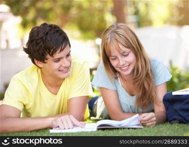 Teenage Student Couple Studying In Park