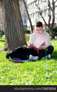 Teenager sitting on the school grass while studying with a book