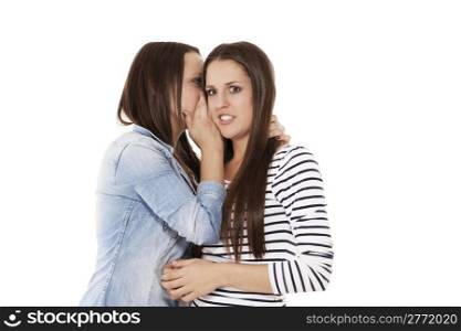 teenager whispering her friend in her ear. teenager whispering her sister in her ear on white background