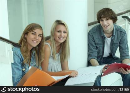 Teens doing homework