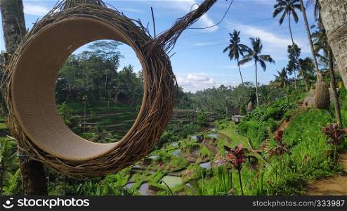 Tegalalang rice terraces in Ubud, Bali. Tegalalang Rice Terrace is one of the famous tourist objects