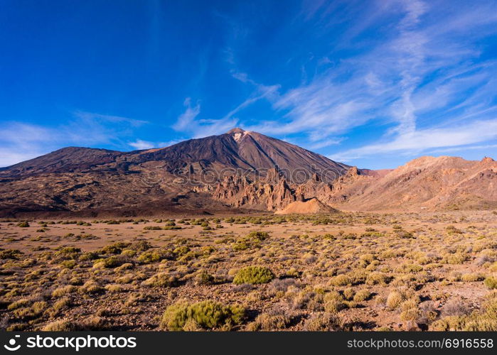 Teide National Park, Tenerife, Canary Islands, Spain