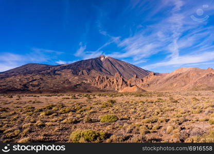 Teide National Park, Tenerife, Canary Islands, Spain