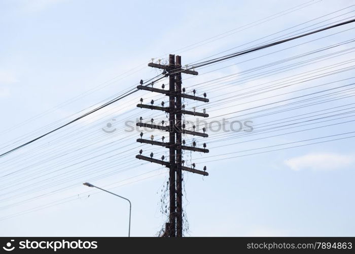 Telegraph pole. Antenna signal wire. Currently no use.