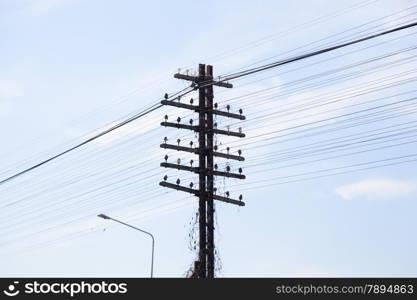 Telegraph pole. Antenna signal wire. Currently no use.