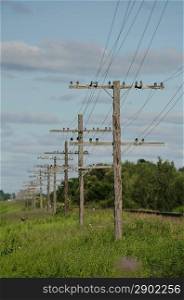 Telephone poles in a row, Manitoba, Canada