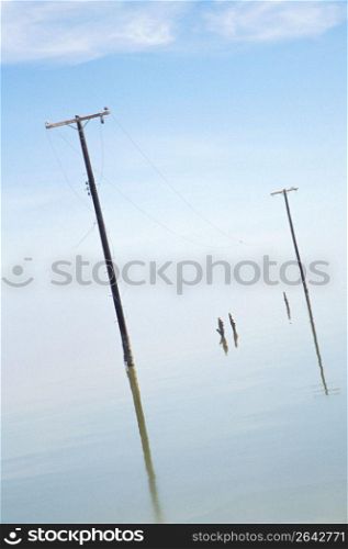 Telephone poles in river