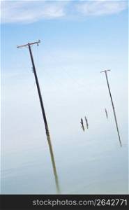 Telephone poles in river