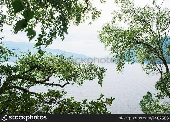 Teletskoye lake in Altai mountains, Siberia, Russia. Beauty summer morning.. Teletskoye lake in Altai mountains