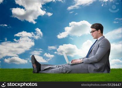 Teleworking concept with businessman working on grass
