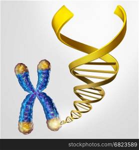 Telomeres DNA and telomere length medical concept on the end caps of a chromosome as a symbol for aging and genetic protection resulting in living longer or longevity as a 3D illustration.