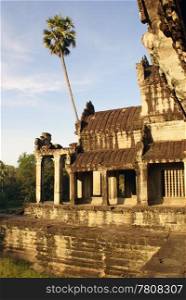 Temple and palm tree in Angkor wat, Cambodia