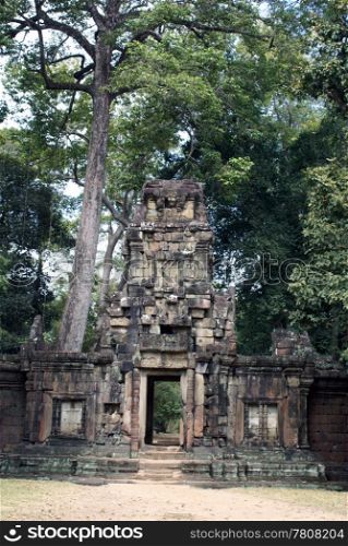 Temple and tree, Angkor, Cambodia